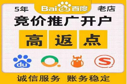 SEM服务案例：助力企业拓展海外市场